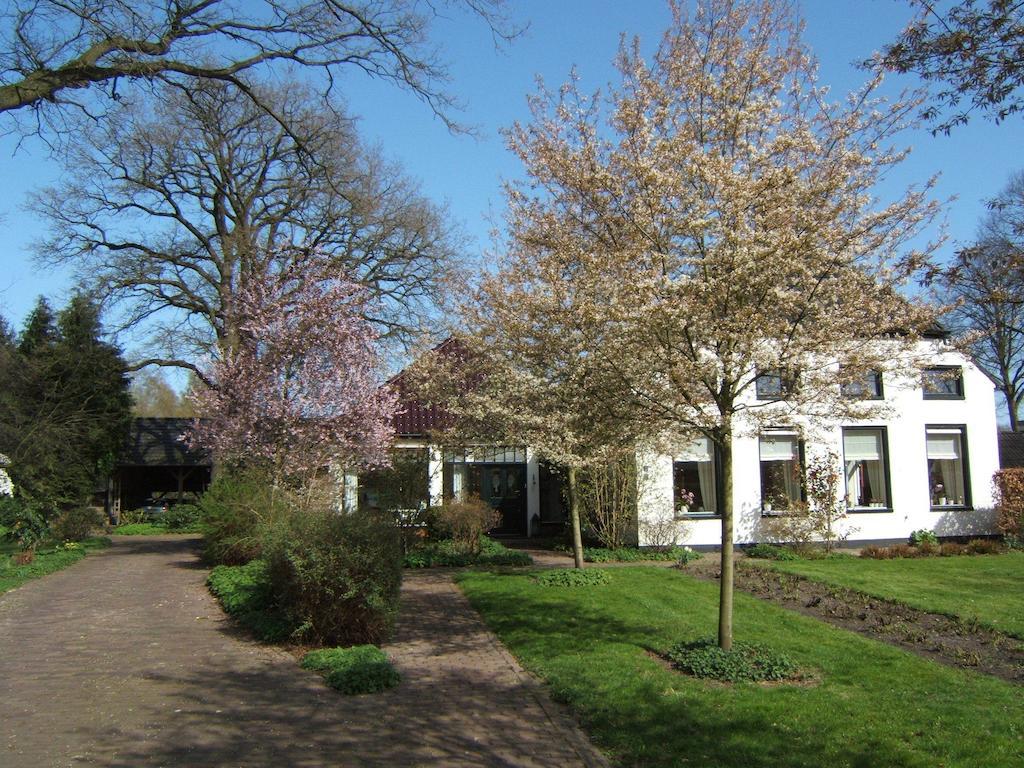 B&B"De Hassehof" Sellingen Exterior foto