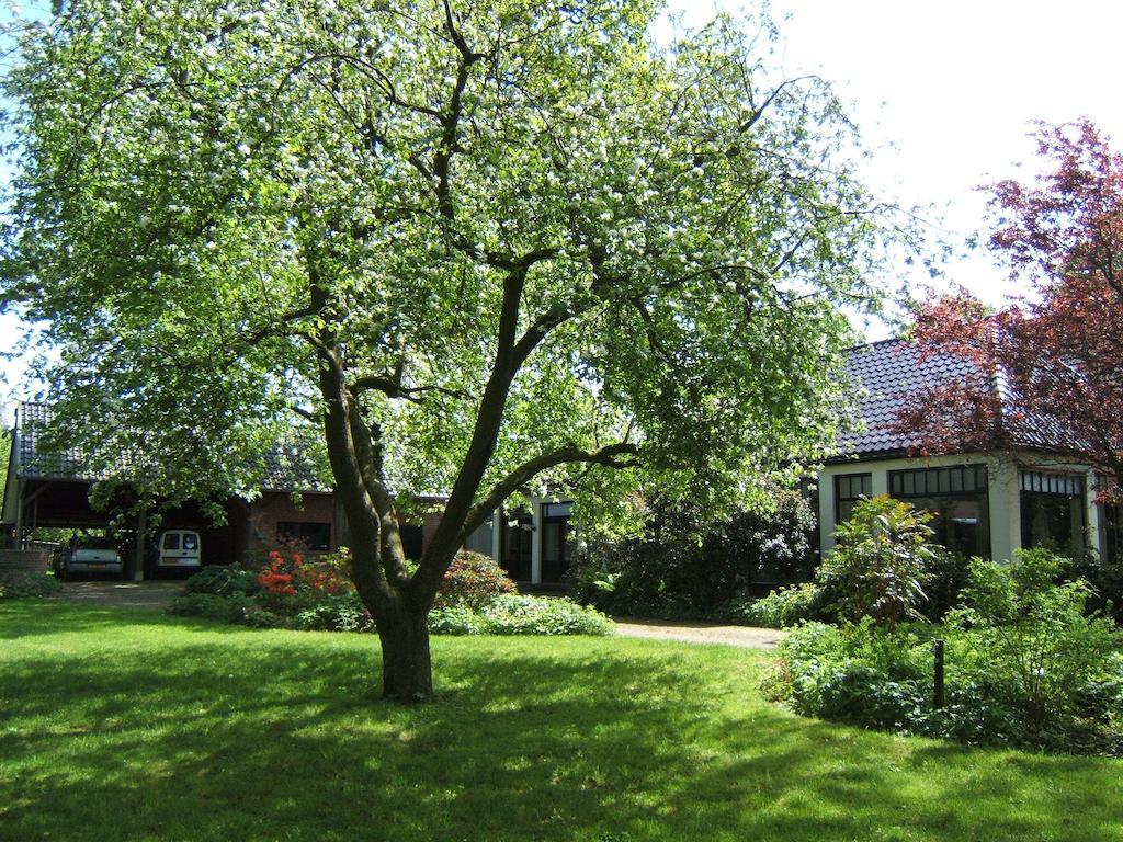 B&B"De Hassehof" Sellingen Exterior foto